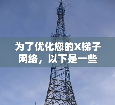 为了优化您的X梯子网络,以下是一些具体的步骤和建议 为了优化您的X梯子网络,以下是一些具体的步骤和建议