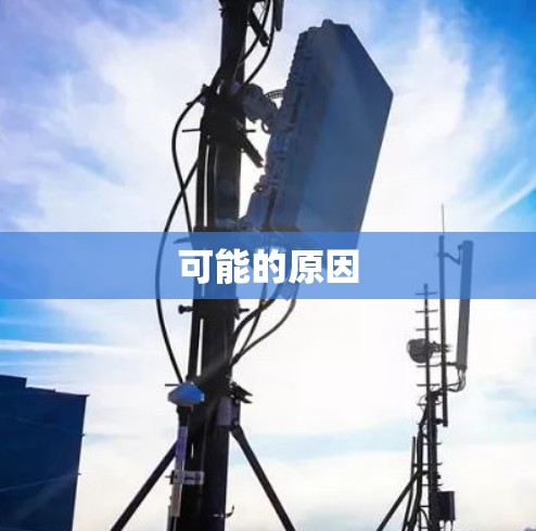 可能的原因 可能的原因