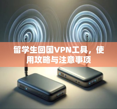 留学生回国VPN工具,使用攻略与注意事项