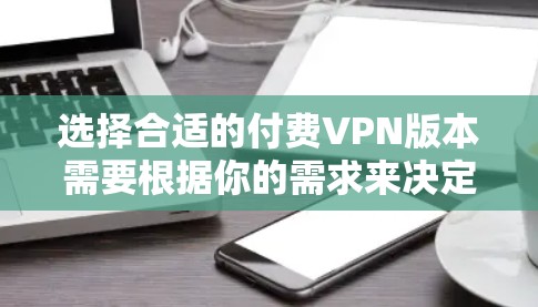 选择合适的付费VPN版本需要根据你的需求来决定。以下是一些常见的VPN类型和推荐