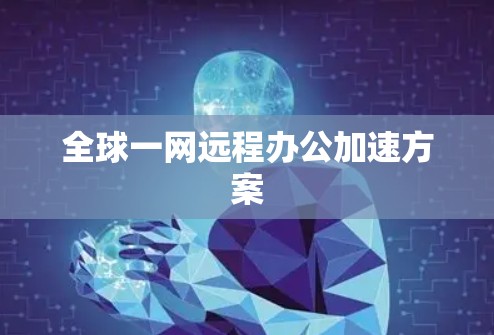 全球一网远程办公加速方案
