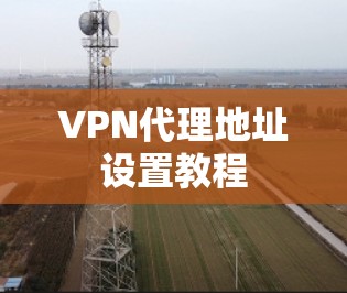 VPN代理地址设置教程