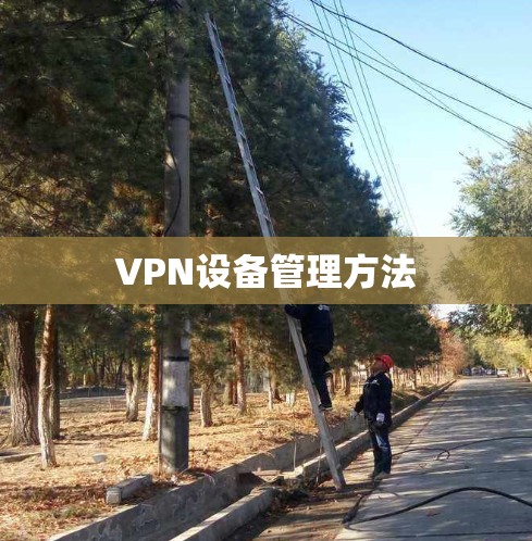 VPN设备管理方法