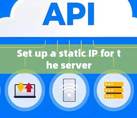 Set up a static IP for the server