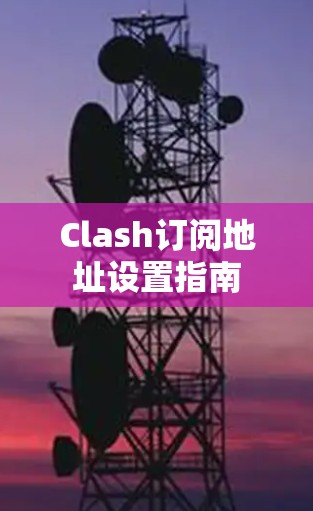 Clash订阅地址设置指南