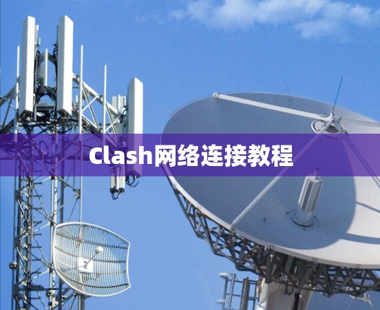 Clash网络连接教程