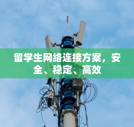 留学生网络连接方案,安全、稳定、高效 留学生网络连接方案,安全、稳定、高效