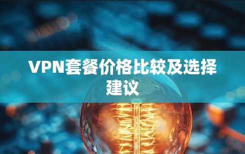 VPN套餐价格比较及选择建议