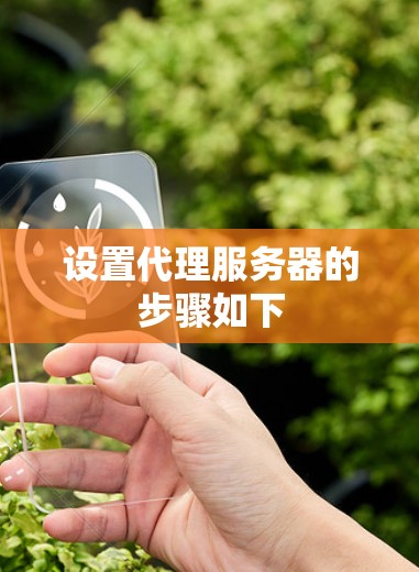 设置代理服务器的步骤如下