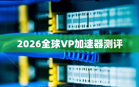 2026全球VP加速器测评