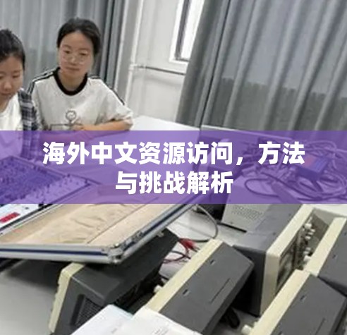 海外中文资源访问，方法与挑战解析