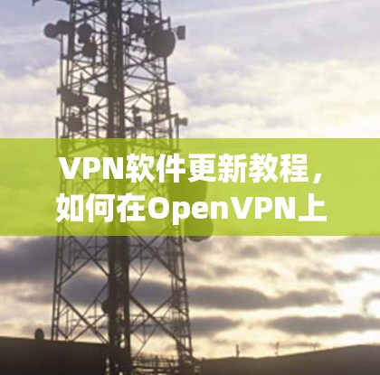 VPN软件更新教程，如何在OpenVPN上配置和更新