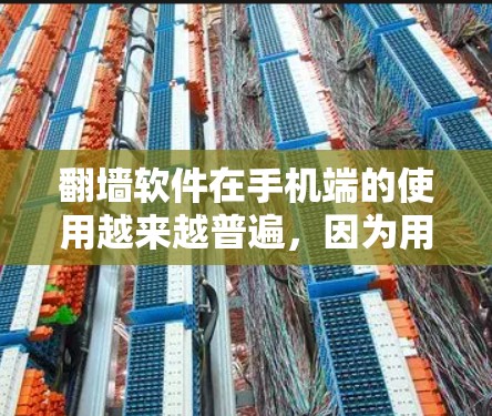 翻墙软件在手机端的使用越来越普遍,因为用户可能需要访问国外的网站、服务或内容。以下是一些关于翻墙软件手机端的详细信息