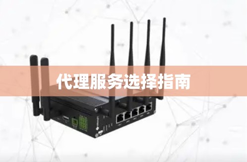 代理服务选择指南