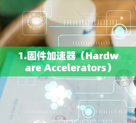 1.固件加速器(Hardware Accelerators)