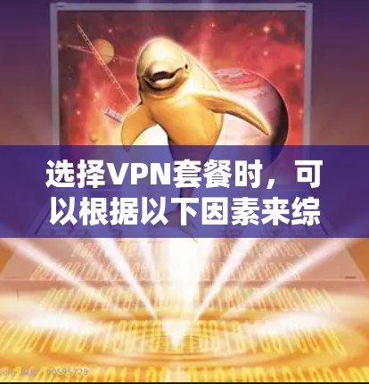 选择VPN套餐时,可以根据以下因素来综合考虑,以便找到最适合您的方案