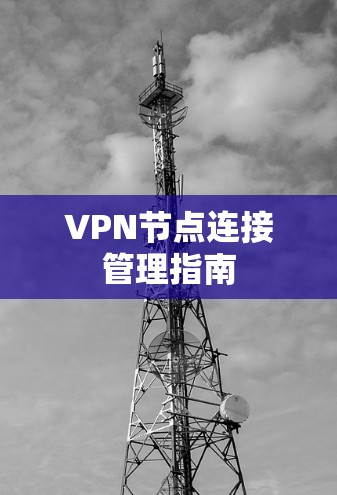 VPN节点连接管理指南