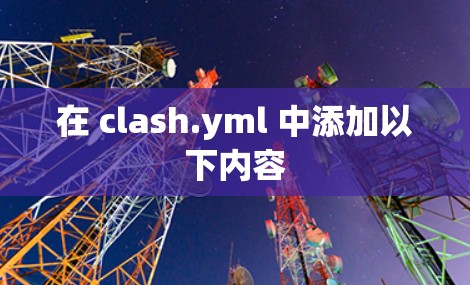 在 clash.yml 中添加以下内容 在 clash.yml 中添加以下内容