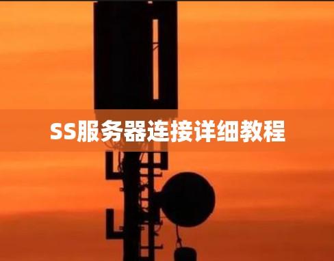 SS服务器连接详细教程