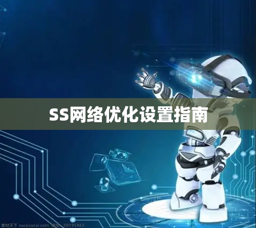 SS网络优化设置指南