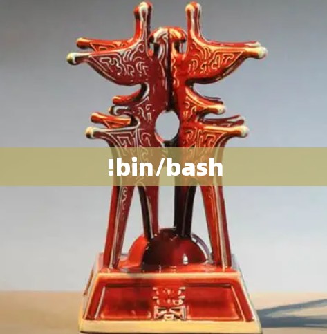 !bin/bash