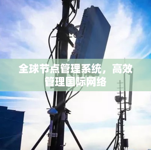 全球节点管理系统,高效管理国际网络