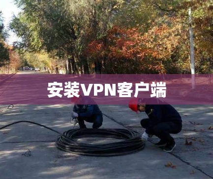 安装VPN客户端
