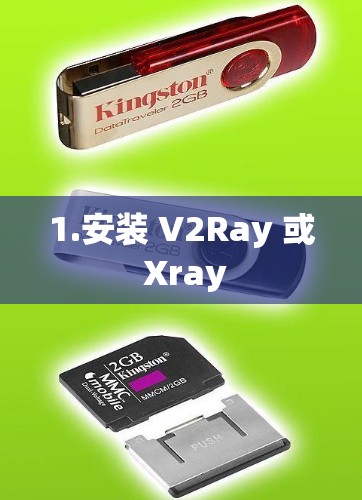 1.安装 V2Ray 或 Xray