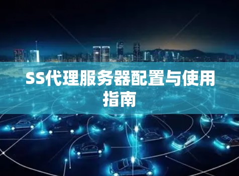 SS代理服务器配置与使用指南