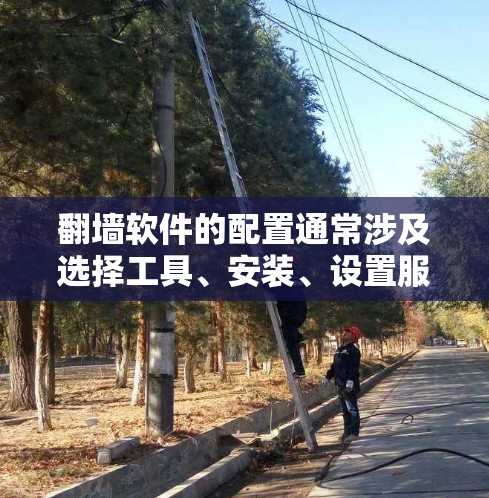 翻墙软件的配置通常涉及选择工具、安装、设置服务器信息并测试连接。以下是针对不同翻墙软件的详细步骤指南