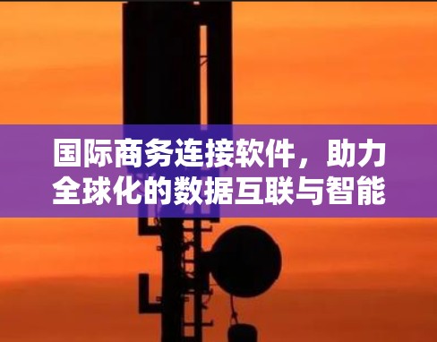 国际商务连接软件，助力全球化的数据互联与智能化