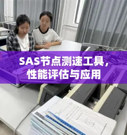 SAS节点测速工具,性能评估与应用