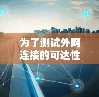 为了测试外网连接的可达性,可以按照以下步骤进行详细检查