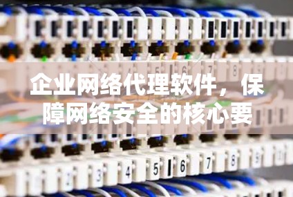 企业网络代理软件,保障网络安全的核心要素