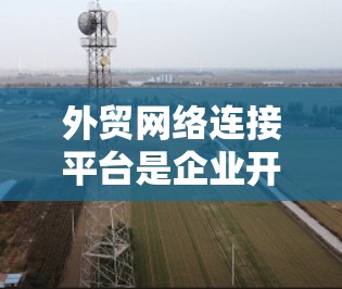 外贸网络连接平台是企业开展国际贸易的重要工具，帮助企业在全球范围内寻找合作伙伴、供应商或展示产品。以下是对这些平台的分类和建议