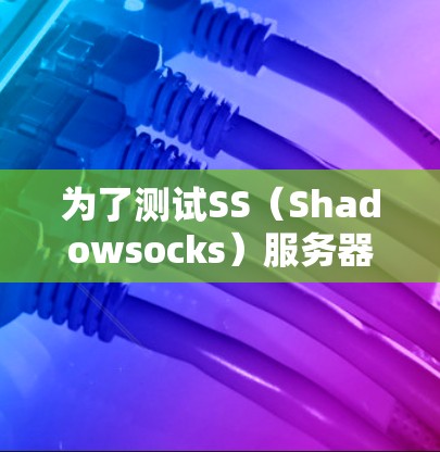 为了测试SS(Shadowsocks)服务器的连接,按照以下步骤操作