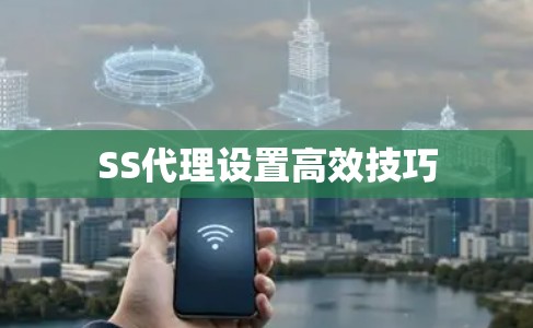 SS代理设置高效技巧