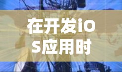 在开发iOS应用时,选择合适的代理连接工具至关重要。以下是几种常见工具的总结,帮助你做出明智的选择