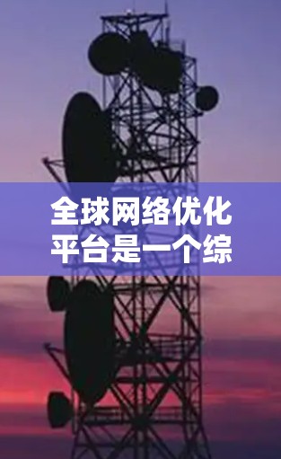 全球网络优化平台是一个综合性的解决方案,旨在提升全球网络的性能、稳定性和安全性。以下是对该平台的详细分析