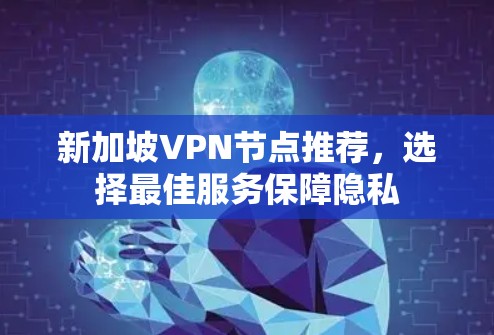 新加坡VPN节点推荐,选择最佳服务保障隐私