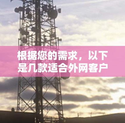 根据您的需求,以下是几款适合外网客户端的推荐