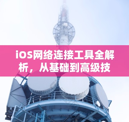iOS网络连接工具全解析,从基础到高级技巧