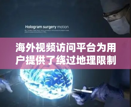 海外视频访问平台为用户提供了绕过地理限制,访问和观看其他地区内容的便利。以下是对这些平台的详细分析和总结