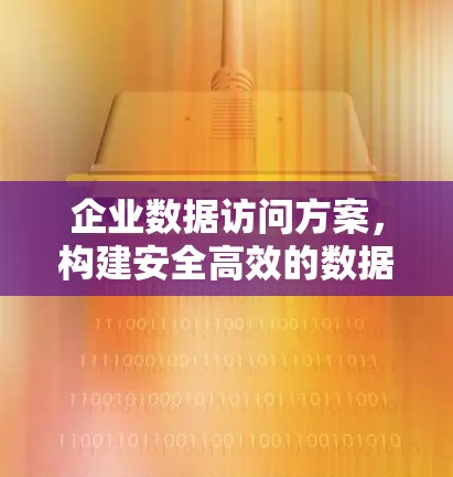 企业数据访问方案,构建安全高效的数据共享机制