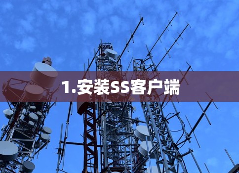1.安装SS客户端 1.安装SS客户端