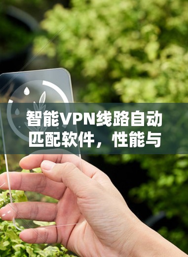 智能VPN线路自动匹配软件,性能与效率的双重提升