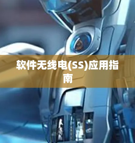 软件无线电(SS)应用指南