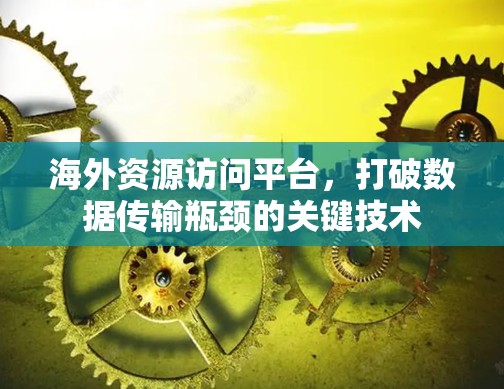 海外资源访问平台,打破数据传输瓶颈的关键技术