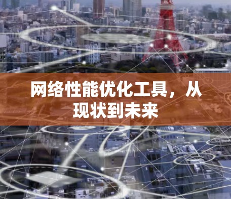 网络性能优化工具,从现状到未来