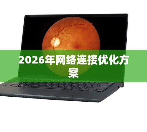 2026年网络连接优化方案